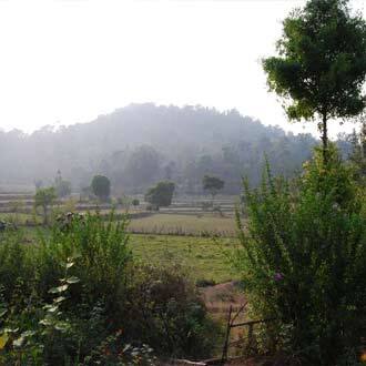 Paddy View Home Stay, Coorg 5